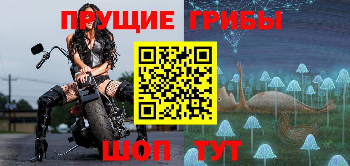 Псилоцибиновые грибы прущие грибы Крымск